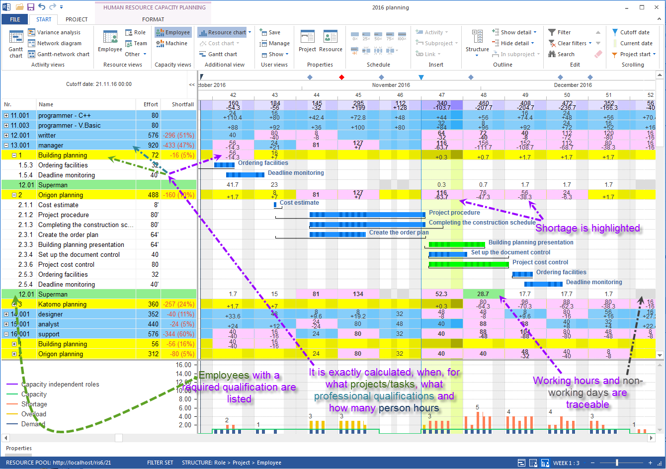 Multiproject capacity human resource